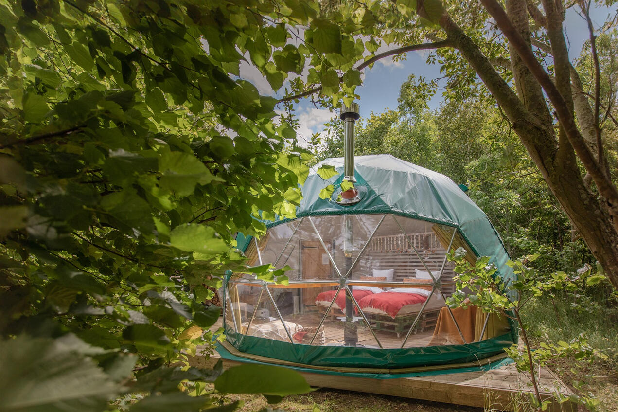 Personal branding photo of a movement practitioner in nature, flowing dress and flower in hand during a chakra dance practice.